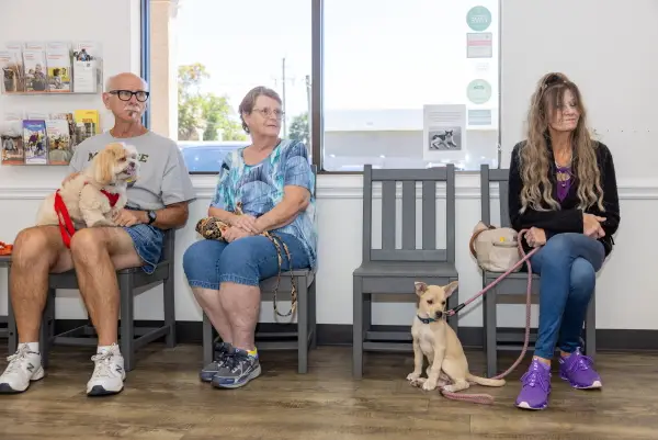 Pet owners waiting with their dogs in the reception area at Dr. Dan’s Animal Hospital in Vero Beach.
