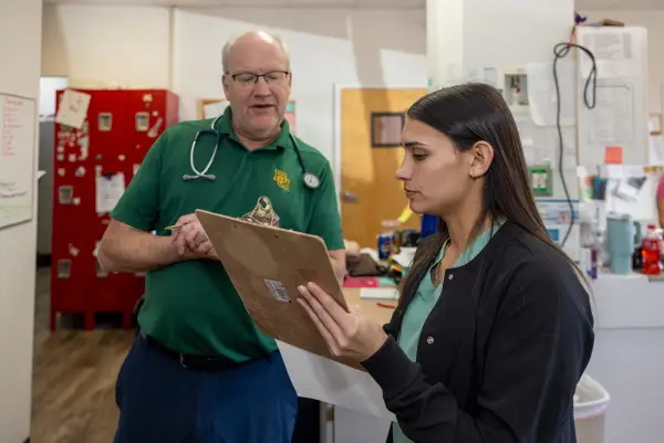 Veterinarian and technician reviewing a patient chart inside Dr. Dan’s Animal Hospital in Vero Beach.