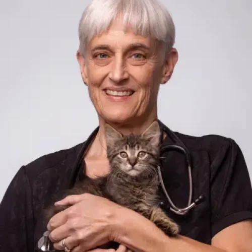 drsarah-dvm